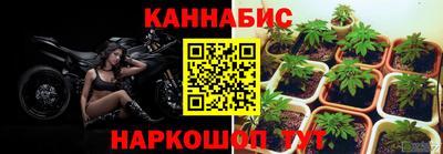 кокс Моздок