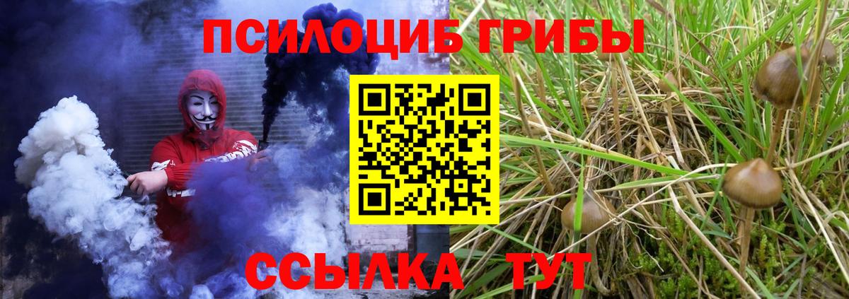 Туймазы  где можно купить наркотик  Вход с VPN  Псилоцибиновые грибы Psilocybe  Галлюциногенные грибы Psilocybe 
