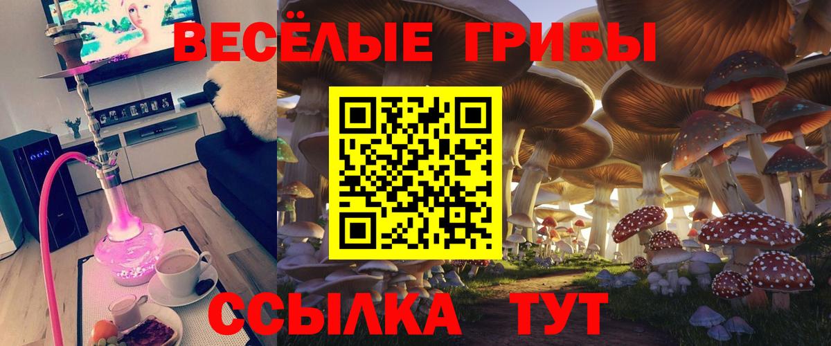 Псилоцибиновые грибы мицелий Туймазы